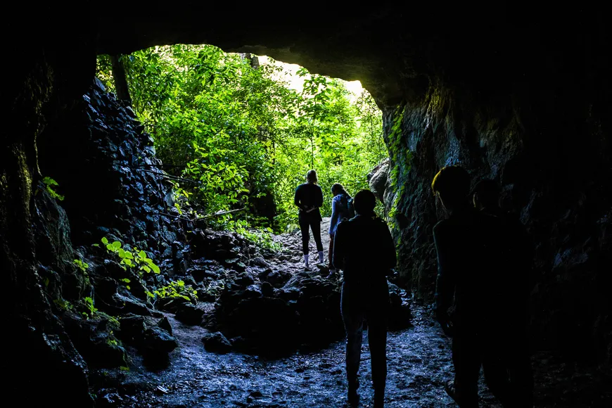 phong nha 