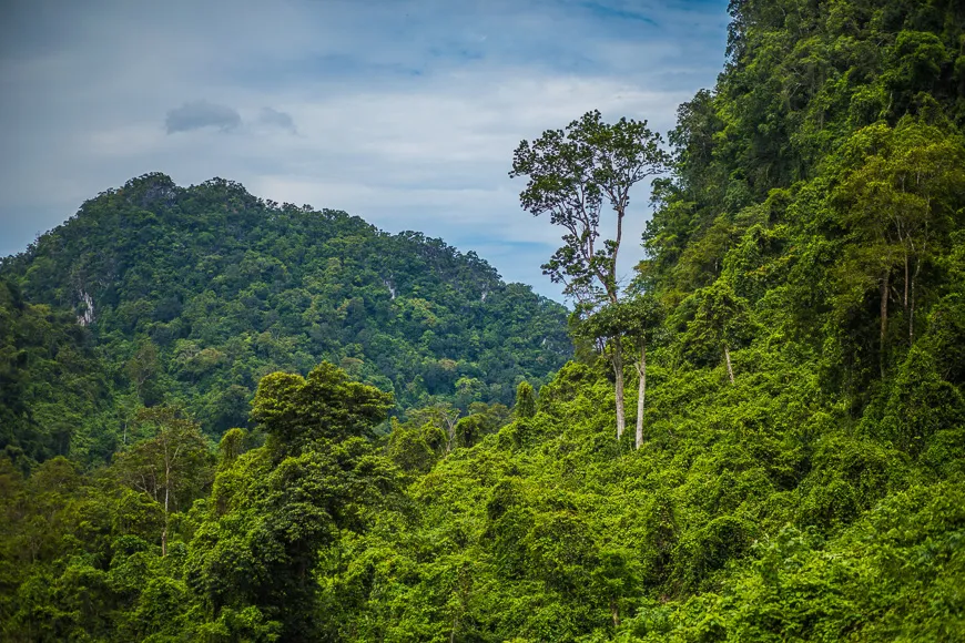 Vietnam’s national parks 